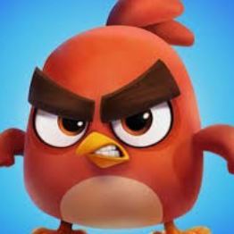 Team Page: Angry Birds